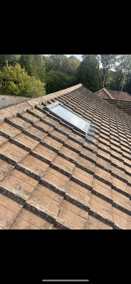 Roof de mossing and treatment Cranleigh