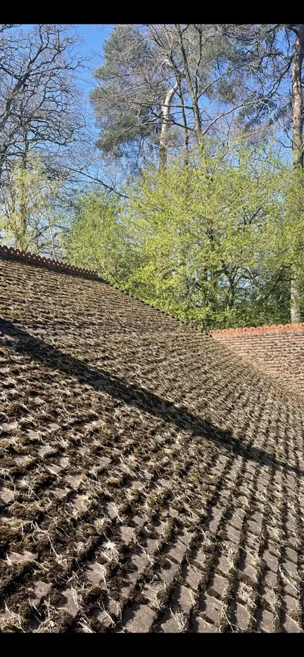 Roof De-mossing Church Crookham